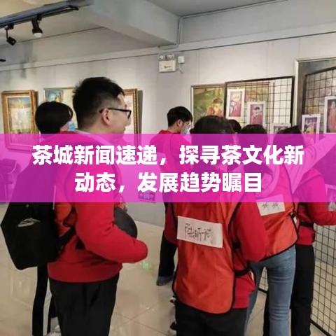 茶城新闻速递，探寻茶文化新动态，发展趋势瞩目