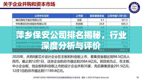萍乡保安公司排名揭秘，行业深度分析与评价