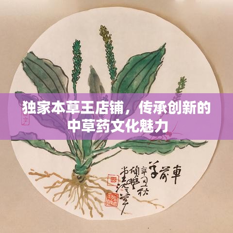 独家本草王店铺，传承创新的中草药文化魅力