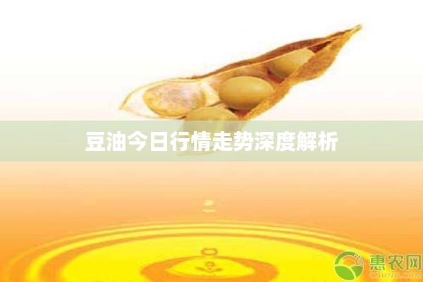 豆油今日行情走势深度解析