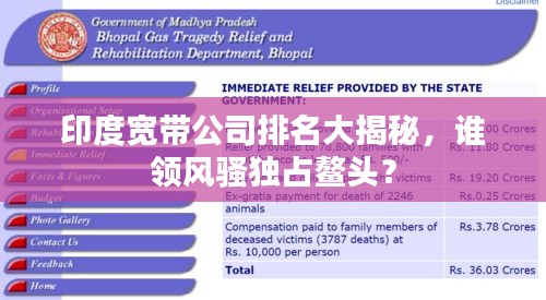 印度宽带公司排名大揭秘，谁领风骚独占鳌头？