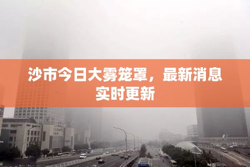 沙市今日大雾笼罩，最新消息实时更新