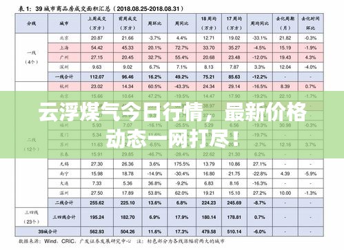 云浮煤气今日行情，最新价格动态一网打尽！