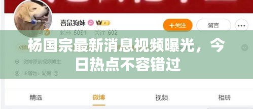 杨国宗最新消息视频曝光，今日热点不容错过