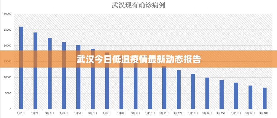 武汉今日低温疫情最新动态报告