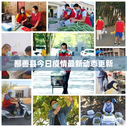 鄯善县今日疫情最新动态更新