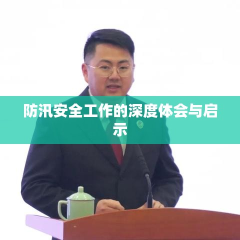防汛安全工作的深度体会与启示