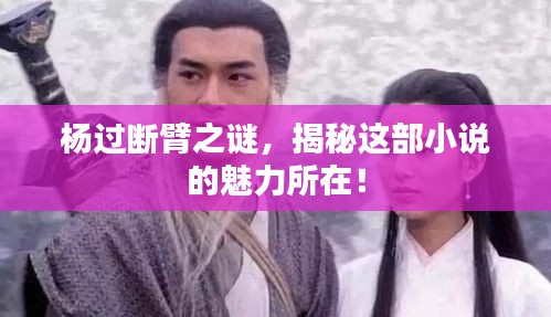 杨过断臂之谜，揭秘这部小说的魅力所在！