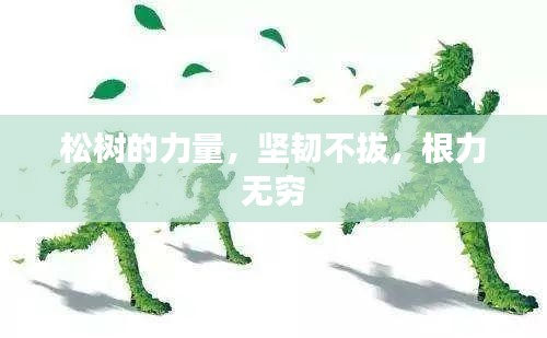 松树的力量，坚韧不拔，根力无穷