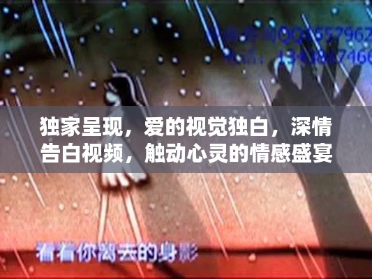 独家呈现，爱的视觉独白，深情告白视频，触动心灵的情感盛宴