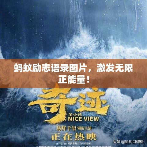 蚂蚁励志语录图片，激发无限正能量！