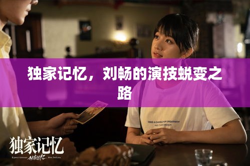 独家记忆，刘畅的演技蜕变之路