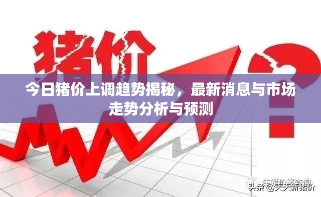 今日猪价上调趋势揭秘，最新消息与市场走势分析与预测