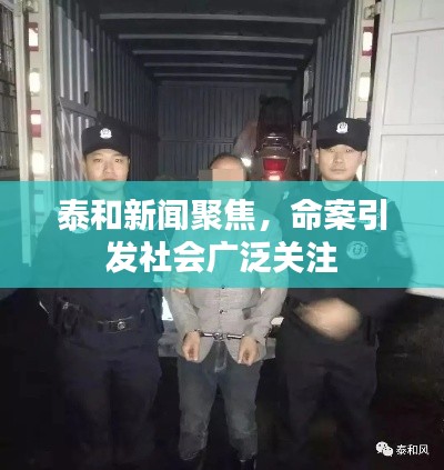 泰和新闻聚焦，命案引发社会广泛关注