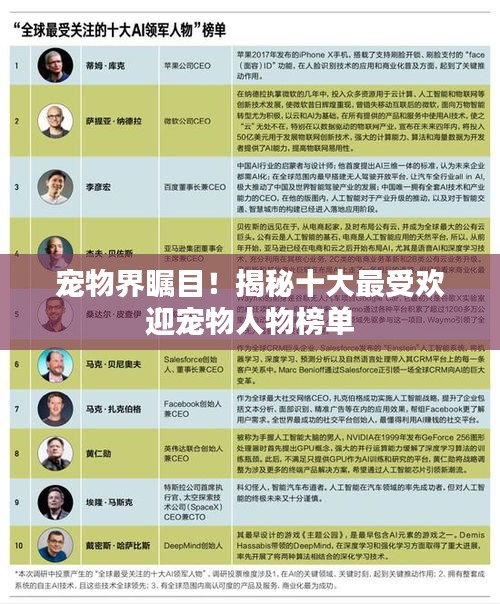 宠物界瞩目！揭秘十大最受欢迎宠物人物榜单