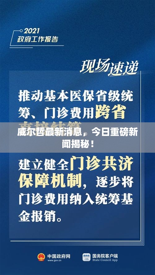 威尔哲最新消息，今日重磅新闻揭秘！