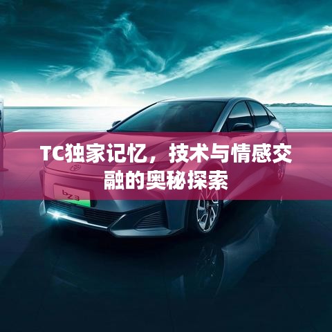 TC独家记忆，技术与情感交融的奥秘探索