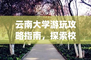 云南大学游玩攻略指南，探索校园美景，体验云南风情
