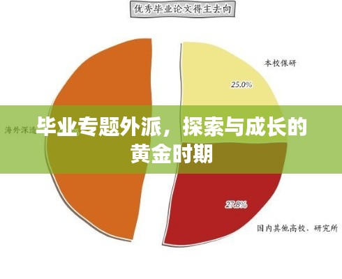 毕业专题外派，探索与成长的黄金时期