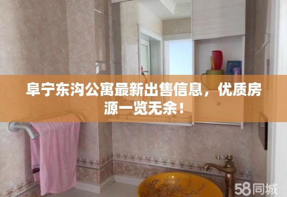 阜宁东沟公寓最新出售信息，优质房源一览无余！