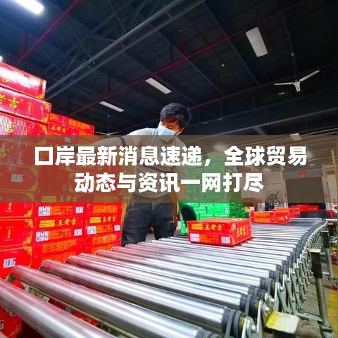 口岸最新消息速递，全球贸易动态与资讯一网打尽