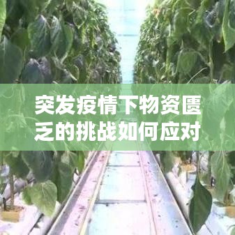 突发疫情下物资匮乏的挑战如何应对？