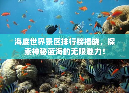 海底世界景区排行榜揭晓，探索神秘蓝海的无限魅力！