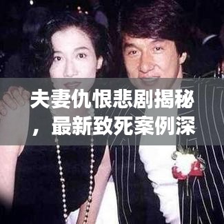 夫妻仇恨悲剧揭秘，最新致死案例深度剖析