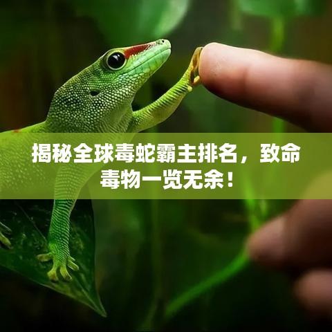 揭秘全球毒蛇霸主排名，致命毒物一览无余！