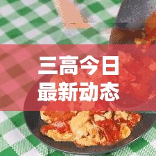 三高今日最新动态揭晓