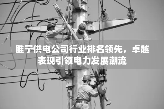 睢宁供电公司行业排名领先，卓越表现引领电力发展潮流