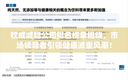 权威减脂公司排名榜单揭晓，市场领导者引领健康减重风潮！
