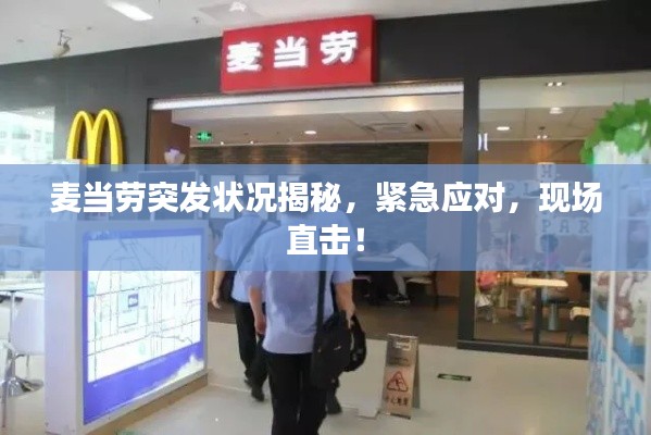 关于我们 第51页