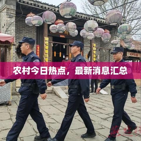 农村今日热点，最新消息汇总