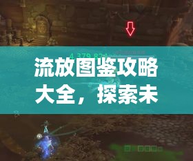 流放图鉴攻略大全，探索未知领域，最新版攻略助你畅游游戏世界！