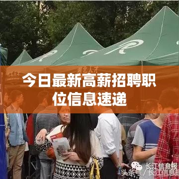 今日最新高薪招聘职位信息速递