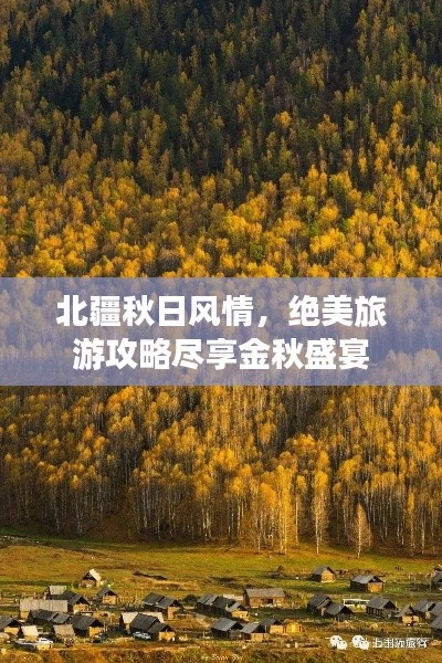 北疆秋日风情，绝美旅游攻略尽享金秋盛宴