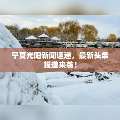 宁夏光阳新闻速递，最新头条报道来袭！