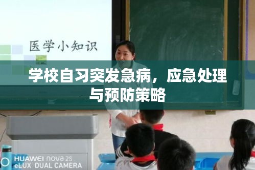 学校自习突发急病，应急处理与预防策略