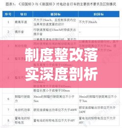 制度整改落实深度剖析，成效与挑战并存