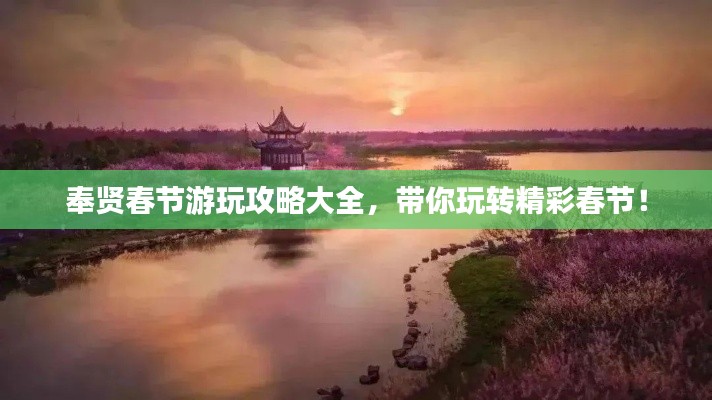 奉贤春节游玩攻略大全，带你玩转精彩春节！