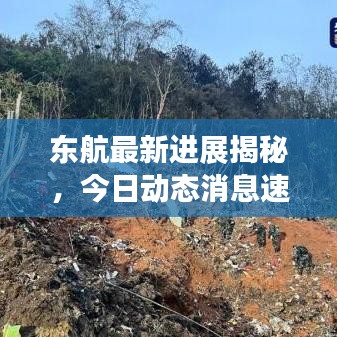 东航最新进展揭秘，今日动态消息速递