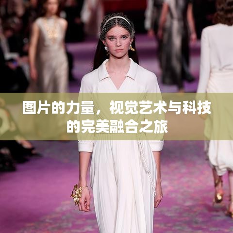 图片的力量，视觉艺术与科技的完美融合之旅