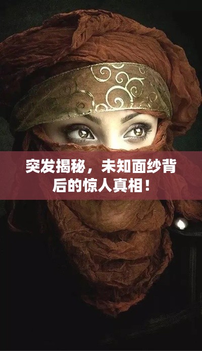 突发揭秘，未知面纱背后的惊人真相！