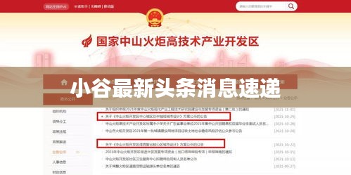 小谷最新头条消息速递