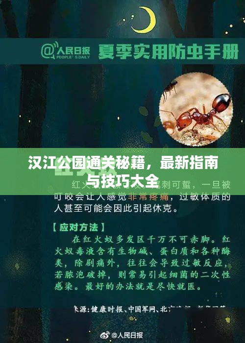 汉江公园通关秘籍，最新指南与技巧大全