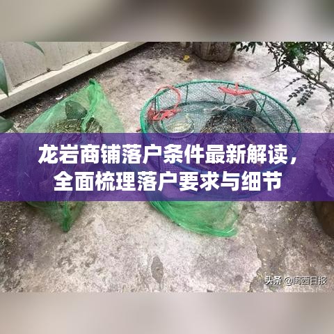 龙岩商铺落户条件最新解读，全面梳理落户要求与细节