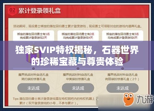 独家SVIP特权揭秘，石器世界的珍稀宝藏与尊贵体验