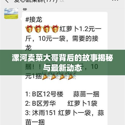 漯河卖菜大哥背后的故事揭秘与最新动态