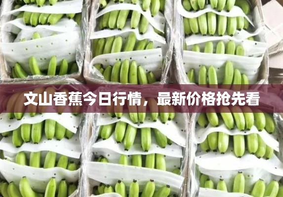 文山香蕉今日行情，最新价格抢先看